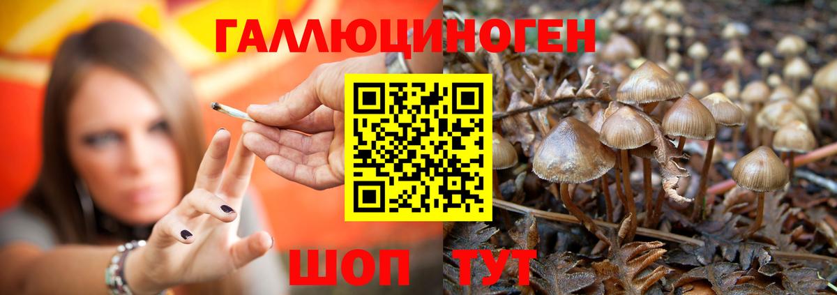 Джанкой  Псилоцибиновые грибы MAGIC MUSHROOMS  сколько стоит  Вход с VPN 
